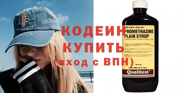 хмурый Бородино
