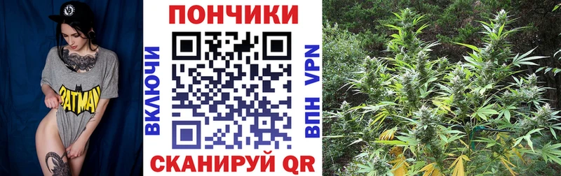 МАРИХУАНА сатива  Калининск 